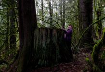 Agate Pond Preserve