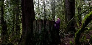 Agate Pond Preserve