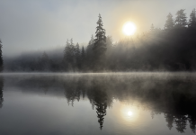 sun rising on a foggy morning over a tree-lined lake in Grays Harbor