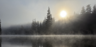 sun rising on a foggy morning over a tree-lined lake in Grays Harbor