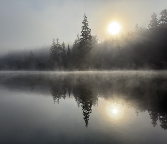 sun rising on a foggy morning over a tree-lined lake in Grays Harbor