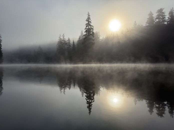 sun rising on a foggy morning over a tree-lined lake in Grays Harbor