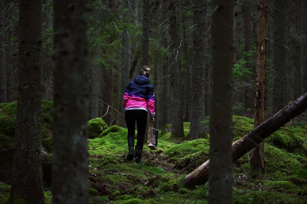 mushroom picking Foraging in Whatcom County