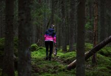 mushroom picking Foraging in Whatcom County